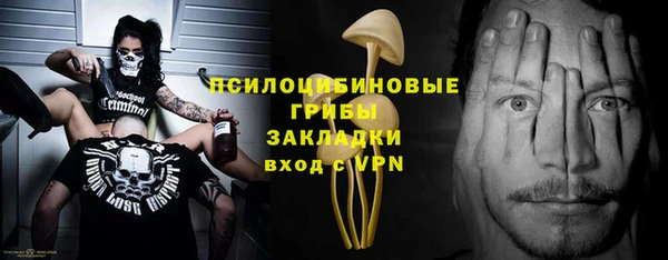 apvp Аркадак