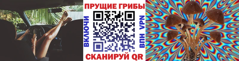 Галлюциногенные грибы GOLDEN TEACHER Опочка